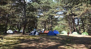 Tepebaşı Belediyesi karasal yaşam eğitim kampı düzenledi