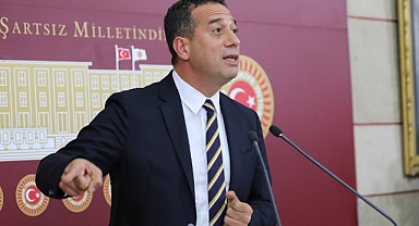 Ali Mahir Başarır: 