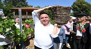 Antalya Gastronomi Festivali'nin ikinci gününde mor üzüm hasadı yapıldı