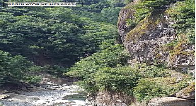 Arhavili köylülerden HES ve taş ocağı protestosu