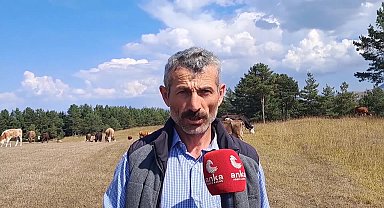 Artvin Ardanuçlu besici: "Bize acil ilaç ve mazot desteği yapılması lazım"