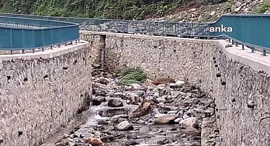 Artvin Arhavi Pilarget Vadisi'nde sel gerekçesiyle yapılan dere ıslahına halk tepki gösteriyor