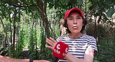 Artvin'de yapılması planlanan altın madeni işletmesine karşı çıkan okumuşlar köyü sakini Serpil Alkan: "Ben burada doğdum ve burada yaşıyorum ve kimse beni buradan taşınmaya mecbur etmesin"