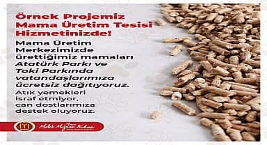 Bilecik Belediyesi'nin ürettiği mamalar can dostlara dağıtılıyor