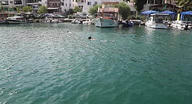 Bodrum Belediyesi'nin deniz dibi temizlik kampanyası devam ediyor