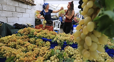 Efes Selçuk Gökçealan'da Üzüm Şenliği başlıyor