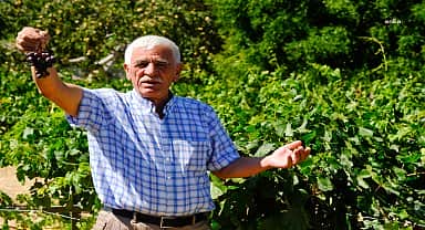 Eskişehir Büyükşehir'in sıvı gübre desteği, hasatta çiftçinin yüzünü güldürdü
