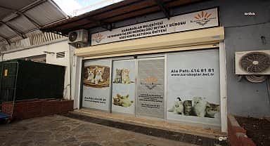 Karabağlar Üçyol Hayvan Sağlığı Merkezi, kısırlaştırma çalışmalarına devam ediyor