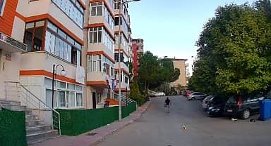 Karabük'te bir sürücünün kediyi üzerinden geçerek yaraladığı görüntüler kameralara yansıdı