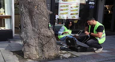 Kartal Belediyesi'nden çevre ve insan odaklı uygulama: Akustik tomografi yöntemiyle ağaçların röntgeni çekiliyor