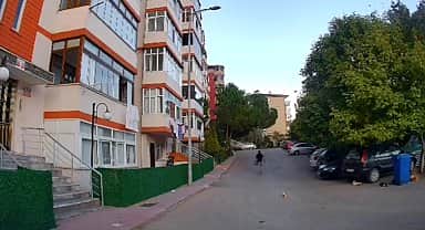 Kediye çarpıp kaçan araç sürücüsüne 4 bin 554 TL idari para cezası kesildi