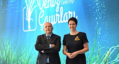 Marmara'nın son oksijen deposu niteliğindeki deniz çayırları koruma altına alınıyor