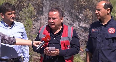 Muhittin Böcek, yangın bölgesinde
