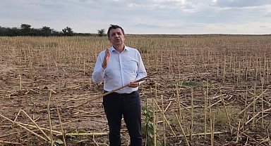 Okan Gaytancıoğlu: "Çiftçiye bir kuraklık ödemesi yapılması lazım"