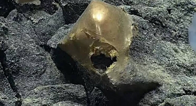 Okyanusta bulunan gizemli 'Altın Yumurta' tedirgin etti: 