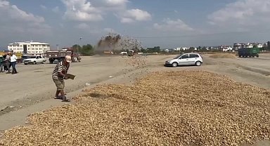 Osmaniye Kadirlili çiftçi: "Şu an çiftçilik en kötü meslek oldu"