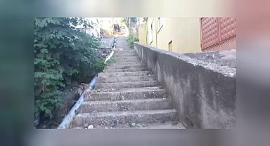 Samsun'un Canik ilçesinde evlerine 170 basamak merdiven çıkarak ulaşabilen vatandaşlar tepkili: "Cenazemizi bile aşağı yoldan kaldırıyoruz"