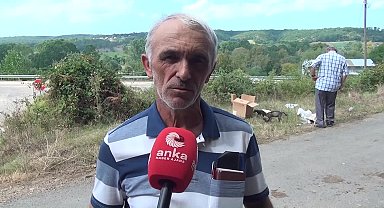 Sinop Mertoğlu köyü sakinleri buraya her gün köpek bırakılmasından şikayetçi