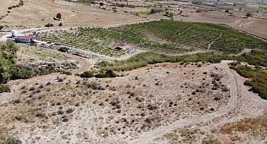 Tarsus Belediyesi ile köylerde yol sorunu ortadan kalkıyor