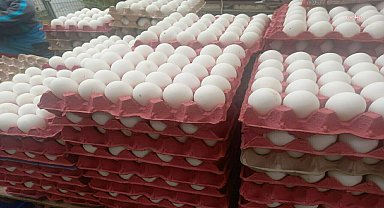 TÜİK: Temmuz'da yumurta üretimi yüzde 6,2 arttı