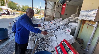 Yozgat'ta balık tezgahlardaki yerini aldı