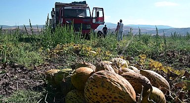 Yozgat'ta kavun-karpuz hasatı devam ediyor. Bölge çiftçisi, girdi maliyetlerinden şikayetçi