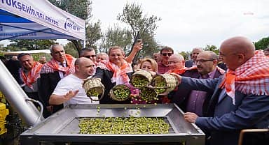 18. Ayvalık Uluslararası Zeytin Hasat Festivali yapıldı