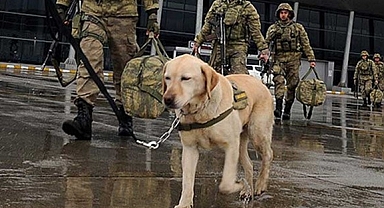 2024 bütçe teklifinde TSK'nın alacağı köpeğe en fazla 9 bin lira fiyat biçildi