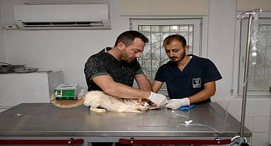 38 can dost Kuşadası'nda hayata tutundu