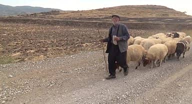 58 yıldır çobanlık yapan Kahramanmaraşlı besici: "Millet yem pahalı olduğundan malcılık yapmıyor"