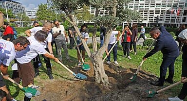 Antalya Büyükşehir Belediye Başkanı Muhittin Böcek, barış için gençlerle zeytin ağacı dikti