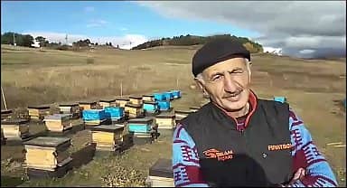 Artvin Ardanuç'ta 60 arı kovanını parçalayan ayılar 250 bin liralık hasar verdi