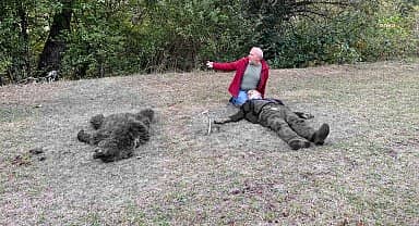 Artvin Şavşat'ta ayı saldırısına uğrayan vatandaşı komşuları kurtardı