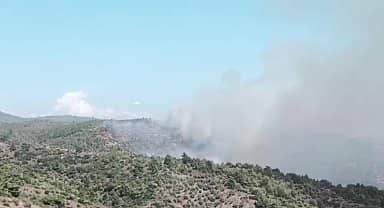 Bayındır'da orman yangını