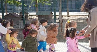 Bilecik'te öğrenciler, barınak ziyareti yaparak hayvanları sevdi ve mama verdi