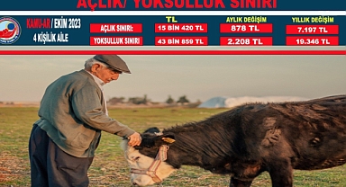 Birleşik Kamu-İş Konfederasyonu: Yoksulluk sınırı son 12 ayda 19 bin 346 liralık artış gösterdi