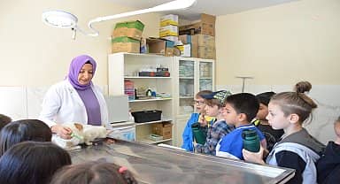 Bozüyüklü öğrenciler, 4 Ekim'de sokak hayvanlarını yalnız bırakmadı