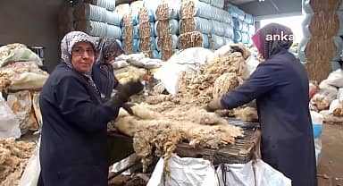 Coğrafi işaret alarak marka haline gelen Balıkesir kuzusunun yünü çeşitli ülkelere ihraç ediliyor