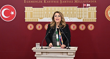 Elvan Işık Gezmiş, yurttaşların ilaca 3 bin liraya varan fark ödediğini açıkladı