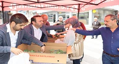 İzmit Belediyesi, İBB'den hibe gelen fideleri vatandaşlarla buluşturdu