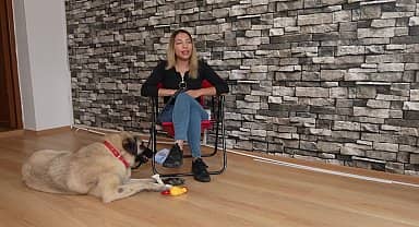 Kadıköy Belediyesi Geçici Hayvan Bakımevi'nden sahiplendiği görme engelli köpeğine ev kiraladı