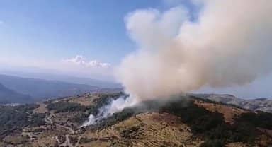 Karabağlar'da orman yangını