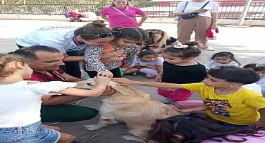 Karşıyaka Belediyesi, çocuklara hayvan sevgisini aşılamak için okullarda farkındalık etkinlikleri düzenledi