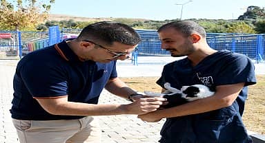 Kuşadası Belediyesi can dostları çocuklarla buluşturdu