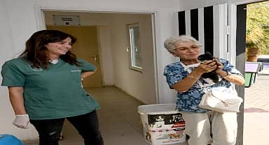 Kuşadası'nın sokak hayvanları sevgi ve müziğin gücüyle iyileşiyor