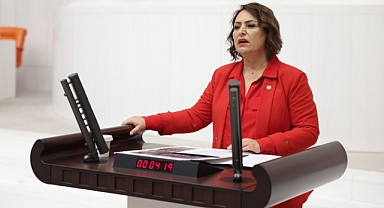 Müzeyyen Şevkin: “88 milyar deprem vergisi toplandı. Neden bunları önlem almak için kullanmıyoruz?”