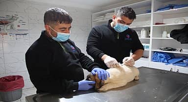Odunpazarı Belediyesi Geçici Hayvan Bakımevi'nin kapatılması kararına Eskişehir 2'nci İdare Mahkemesi'nden yürütmeyi durdurma kararı
