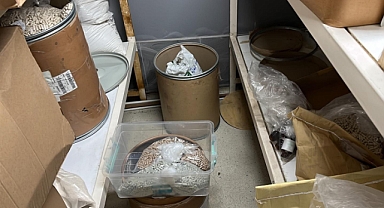 Sahte ilaç üreterek piyasaya sürdükleri gerekçesiyle 12 kişi gözaltına alındı