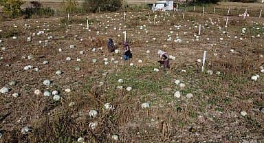 Tepebaşılı kadınlar ürünlerini tanıtmanın gururunu yaşıyorlar