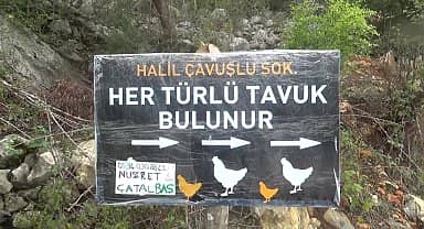 Yem fiyatları arttığı için tavuklarını satmak zorunda kalan Andırınlı besici: "yumurtanın parası yem fiyatlarını karşılamaz oldu"